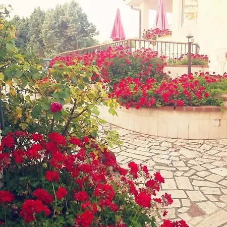 Lena Bed & Breakfast