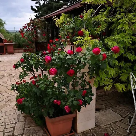 Bed and breakfast Lena *