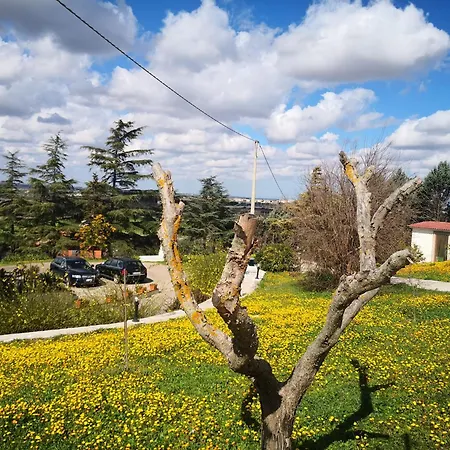 Bed and breakfast Lena Turi