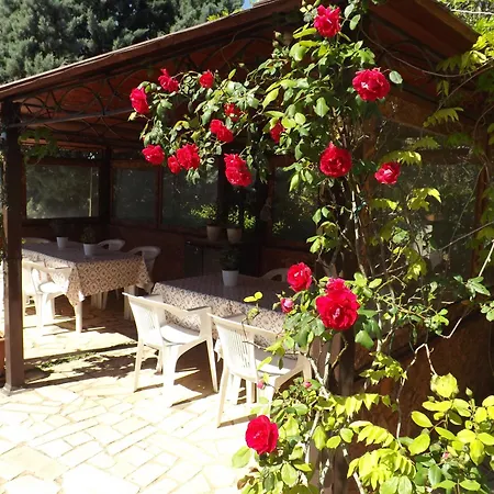 Bed and breakfast Lena Turi