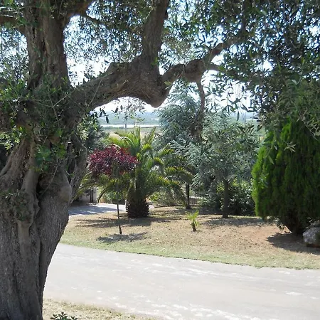 Bed & Breakfast Lena Turi