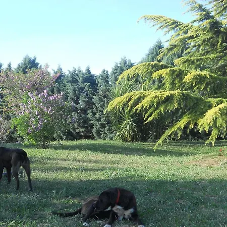 Bed and breakfast Lena Turi