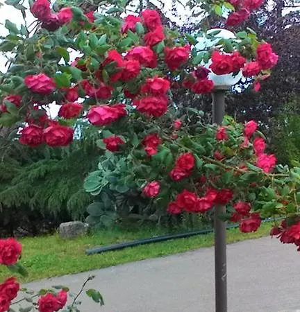 Bed & Breakfast Lena *