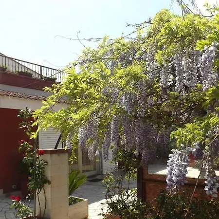 Bed and breakfast Lena Turi