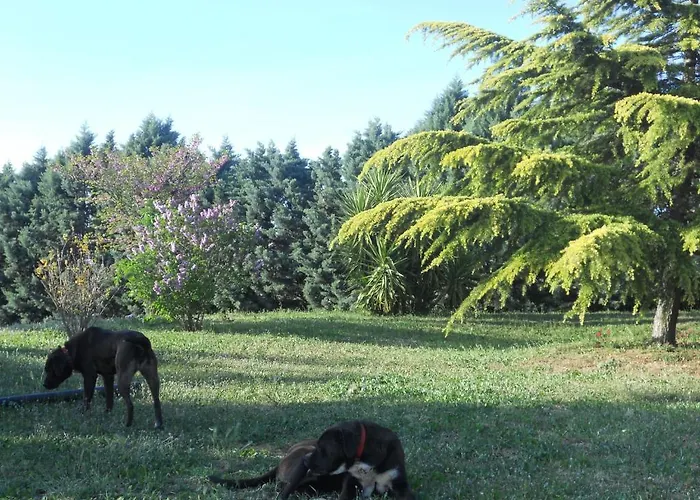 Bed & Breakfast Lena Turi