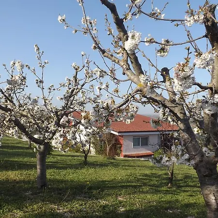 Alojamento de Acomodação e Pequeno-almoço Lena *