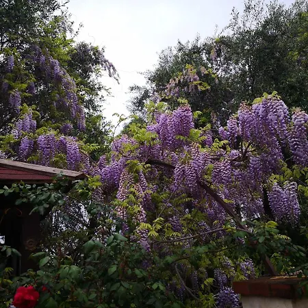 Lena Nocleg ze śniadaniem