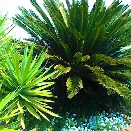 Nocleg ze śniadaniem Lena Turi