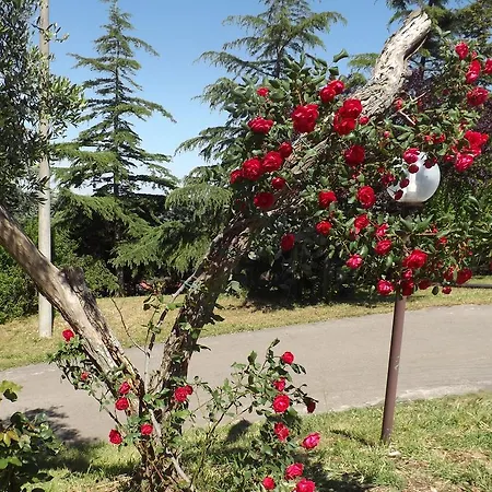 Alojamento de Acomodação e Pequeno-almoço Lena